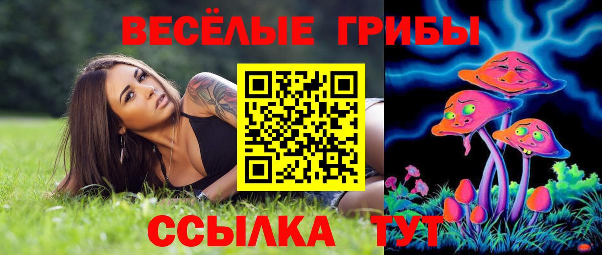 Галлюциногенные грибы Psilocybe Протвино